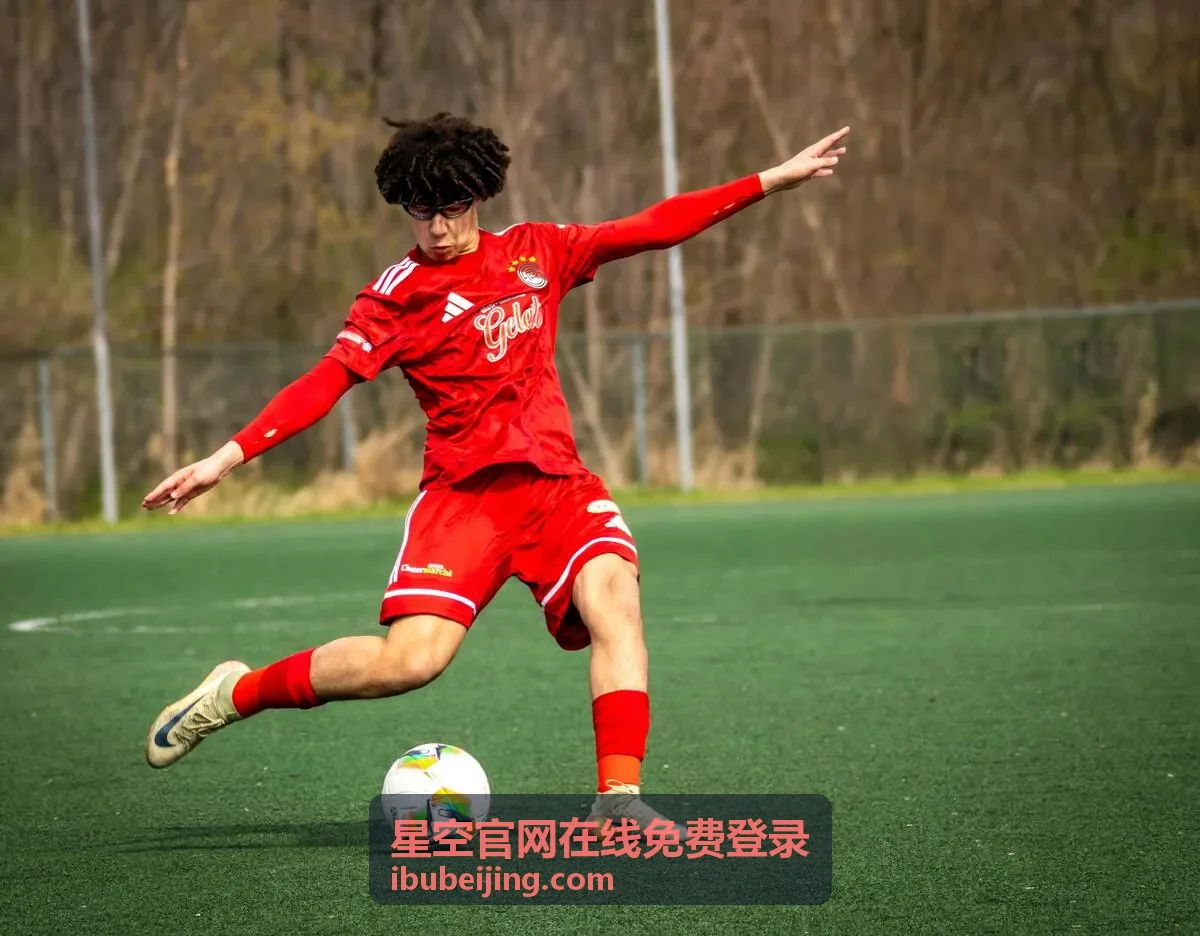 星空官网在线免费登录账号安全帮助-登录后设备与授权管理